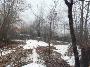 TEREN INTRAVILAN\\CORNU DE JOS - imagine 3