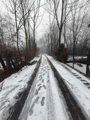 TEREN INTRAVILAN\\CORNU DE JOS - imagine 4