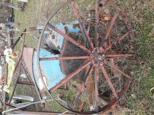 Sam natoare isaria - imagine 2