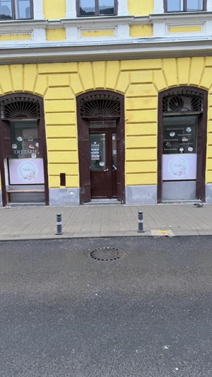 Spațiu Comercial Ultra Central 