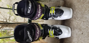 Scarpa Maestrale RS 2019