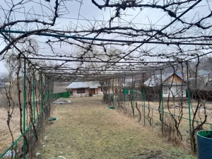 Casă + teren 5000 mp, Podoleni, Neamț - imagine 4