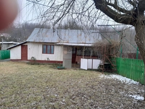 Casă + teren 5000 mp, Podoleni, Neamț - imagine 8