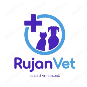 Cabinet veterinar Sector 4 - RujanVet