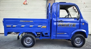 Cvadriciclu electric Forte E-Pickup-100 km autonomie - imagine 2