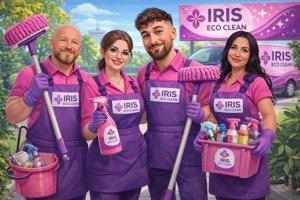 Angajăm femeie pentru curățenie   Iași - imagine 2