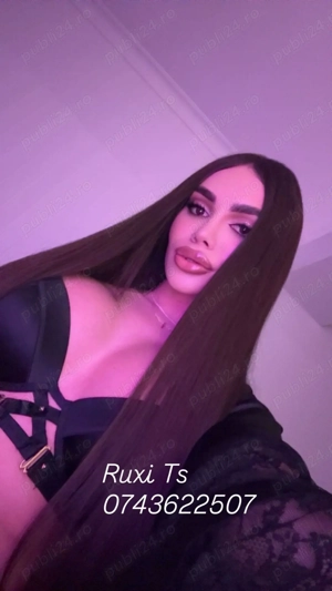 Ruxi Trans ofer și deplasări și show web - imagine 10