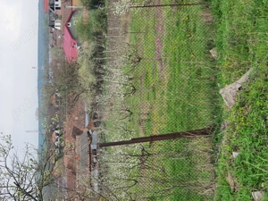 Teren intravilan 1878 mp