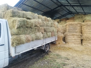 baloți de fân si otavă 