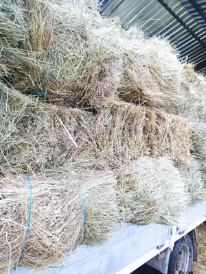 baloți de fân si otavă  - imagine 5