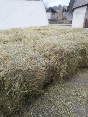 baloți de fân si otavă  - imagine 4