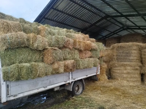 baloți de fân si otavă  - imagine 2