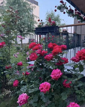 Apartament mobilat cu 2 camere 72mp în Unirii Green Park Residece - imagine 8