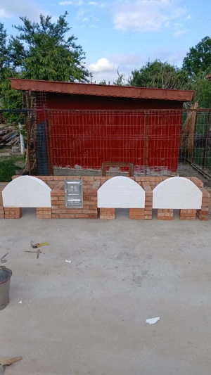 executam grătare  - imagine 4