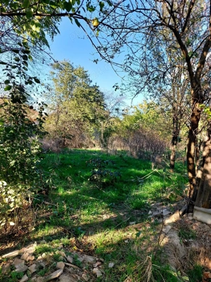 Teren si casa batrineasca  - imagine 3