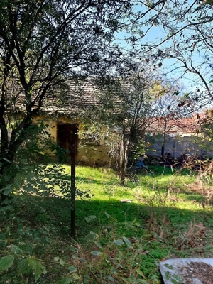 Teren si casa batrineasca  - imagine 2