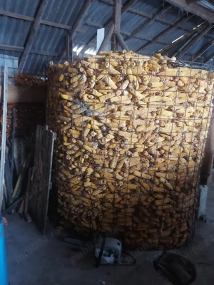 Vînd porumb cu totul cu ocean 1leu kg dau și la schimb pe lemne de fag telefonul   