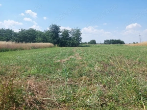 vand teren intravilan 