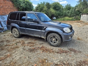 2.9 radiata - imagine 2