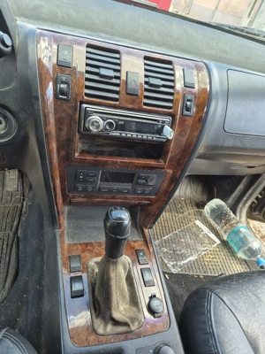 2.9 radiata - imagine 4