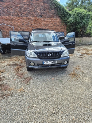 2.9 radiata - imagine 5