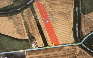 Teren intravilan, la 25km de Bucuresti, pretabil pentru depozit sau complex - imagine 2