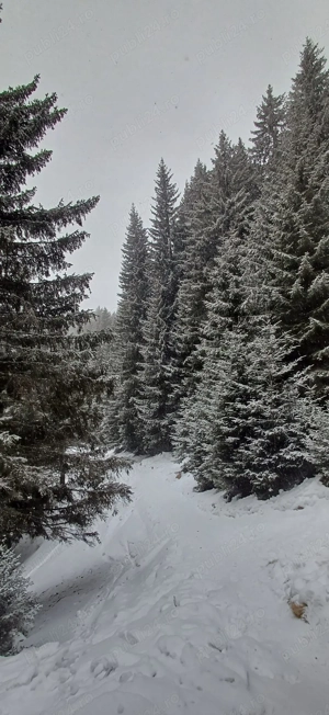 Cerificat energetic apartament sau casa