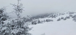 Cadastru si intabulare