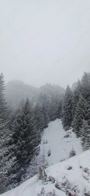 Ridicări Topografice (Planuri de Situație)