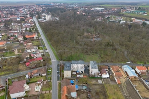 De vanzare apartament 2 camere in Buzias - imagine 12