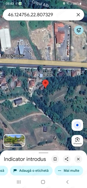 Vând casă bătranească și teren intravilan 