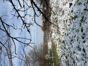 Teren de vânzare - imagine 5