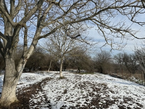 Teren de vânzare - imagine 4