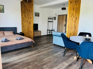 Apartament cu 1 camera direct de la proprietar - imagine 4