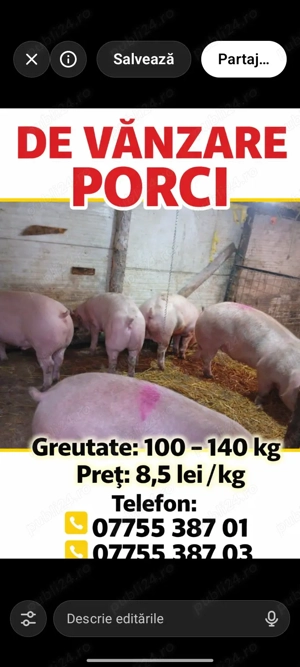 porci prahova 