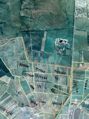 Vand teren extravilan Costeiu TM