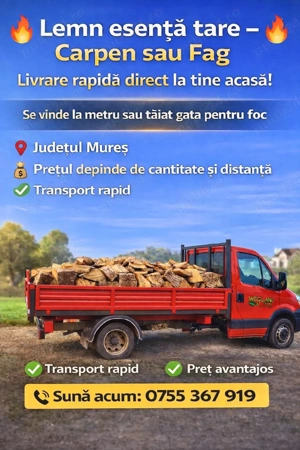 vand lemne de foc(240 ron metru stern) carpen esenta tare 