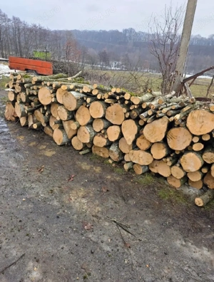 vand lemne de foc(240 ron metru stern) carpen esenta tare  - imagine 2