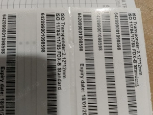 Vând câini rasa pudel pitic - imagine 3