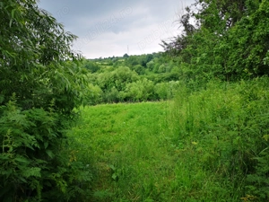 Bucățică de rai lângă Iași - Intravilan 2980 m2 - imagine 9