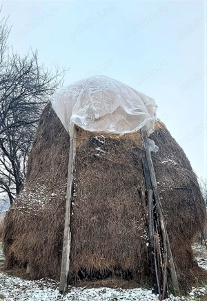 Claie de fan de vanzare