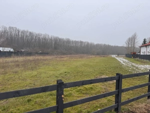 Teren Ciolpani: 500 mp langa padure si DN  toate utilitatile - imagine 2