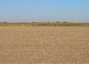 Teren intravilan 1 Decembrie jud Ilfof 