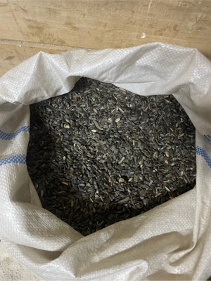 vind seminte de floarea soarelui,recolta 2025 detali la nr   