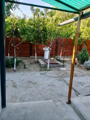 Casa 9 camere 149mp + teren 509 mp - imagine 3