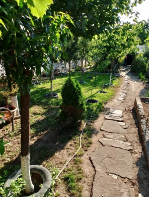 Casa 9 camere 149mp + teren 509 mp - imagine 7