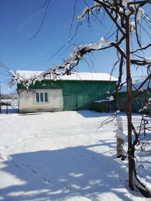 Casa de vânzare în Călinești, jud Botoșani - 5800 mp teren - imagine 4