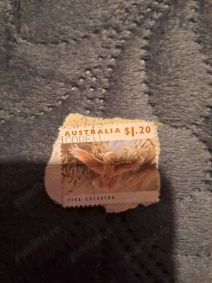 Timbre  SUA Australia