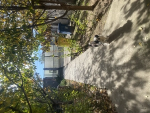 Casa de vanzare Romanesti. - imagine 5