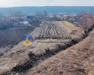 Teren 10.515 mp- BODESTI 